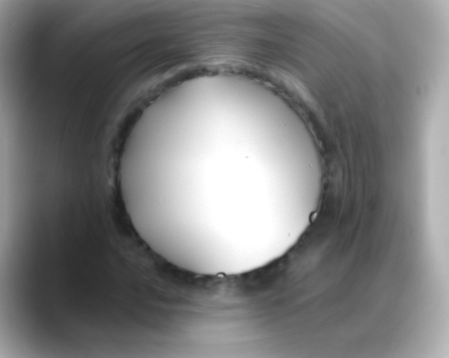 X0000088461016200706051320