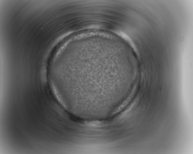 X0000088461019200706051320