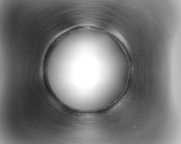 X0000088461020200706051320