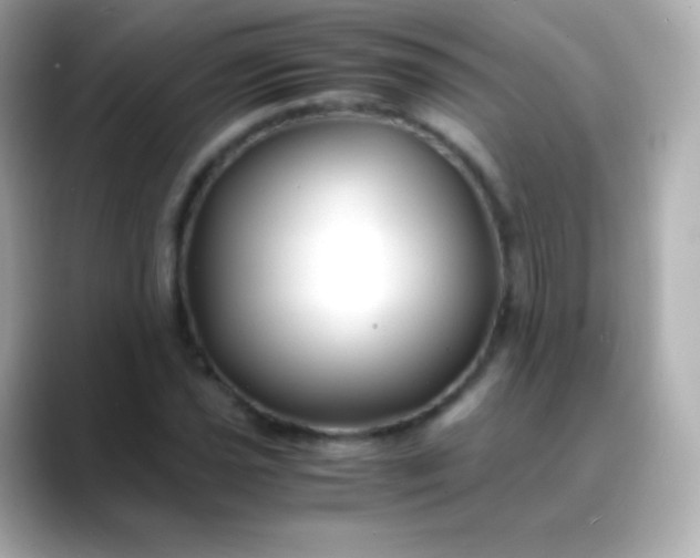 X0000088461021200706051320