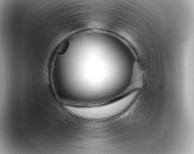 X0000088461022200706051320