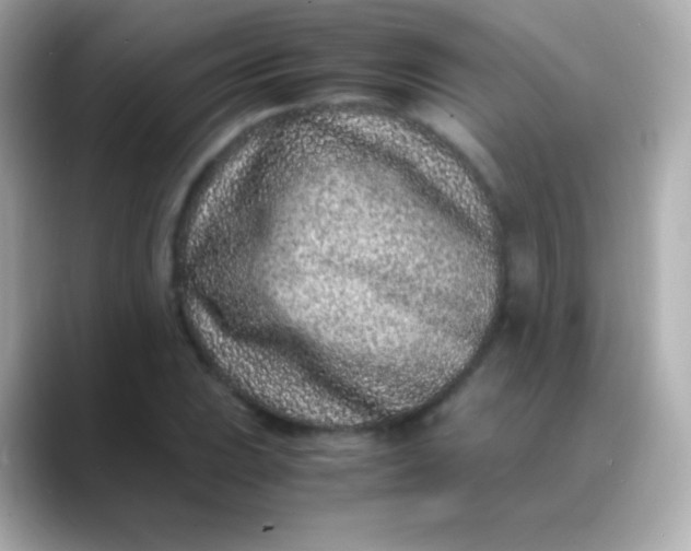 X0000088461023200706051320