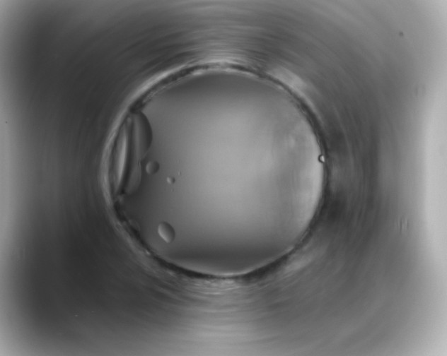 X0000088461024200706051320