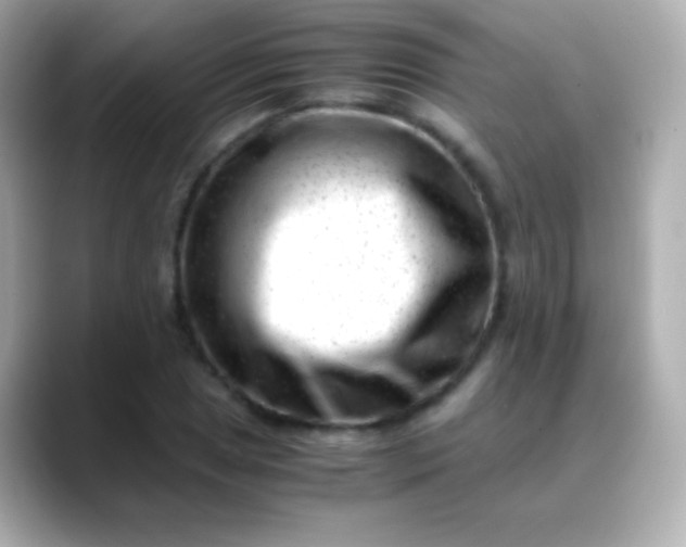 X0000088461025200706051320