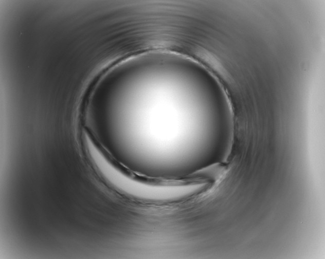 X0000088461026200706051320