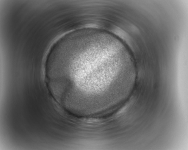 X0000088461027200706051320