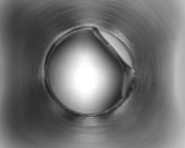 X0000088461028200706051320