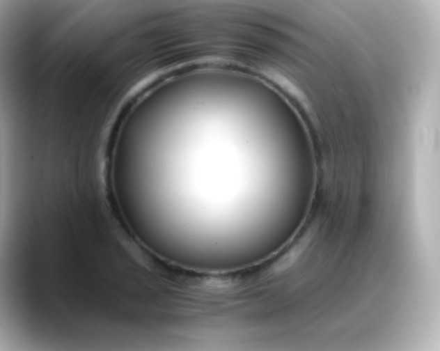 X0000088461029200706051320