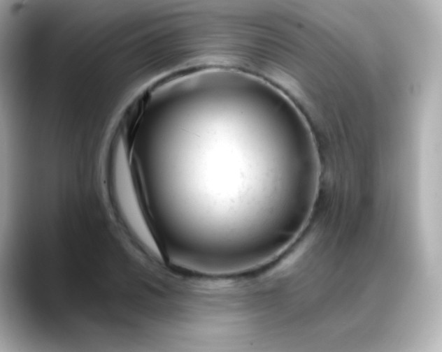 X0000088461030200706051320