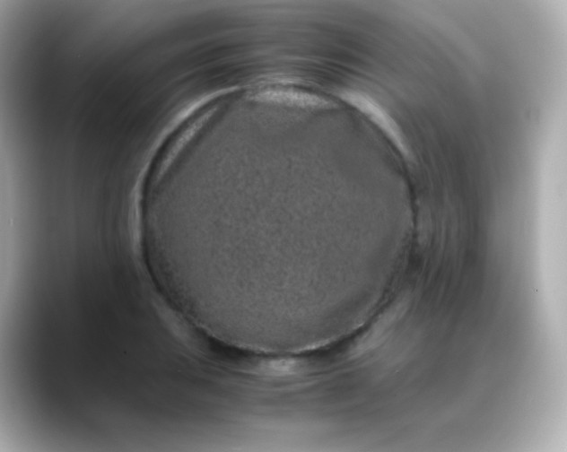 X0000088461031200706051320