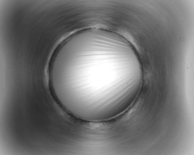 X0000088461032200706051320