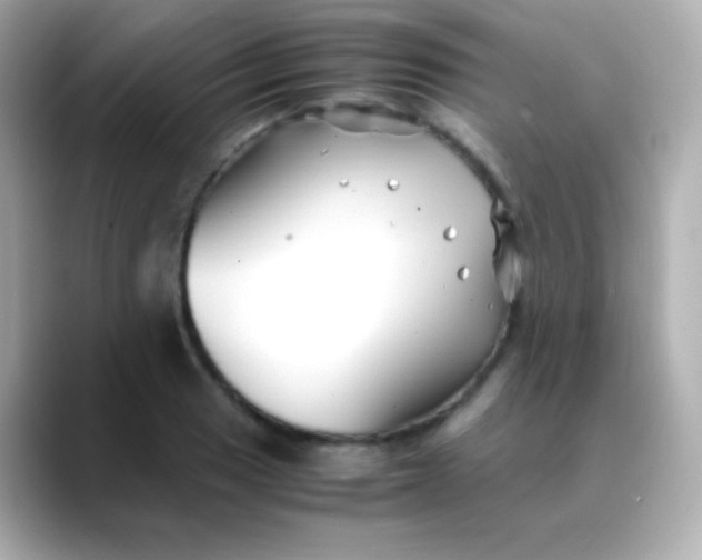 X0000088461033200706051320