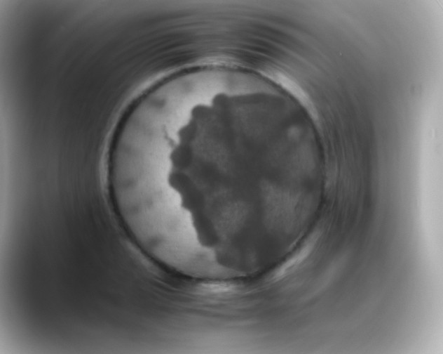 X0000088461037200706051320