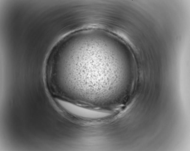 X0000088461038200706051320