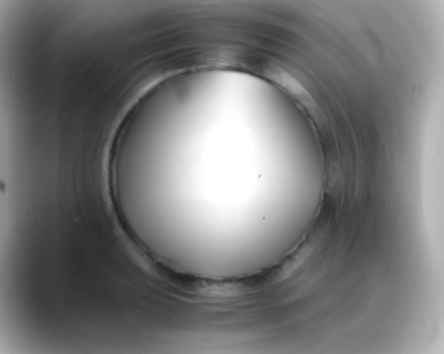 X0000088461039200706051320