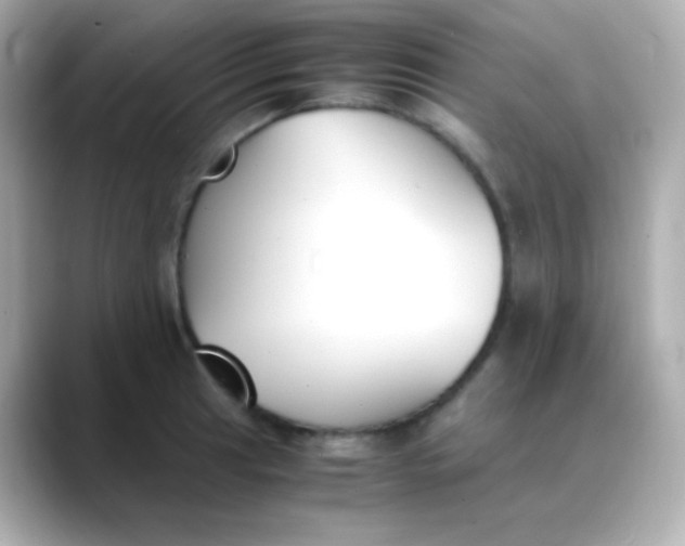 X0000088461041200706051320