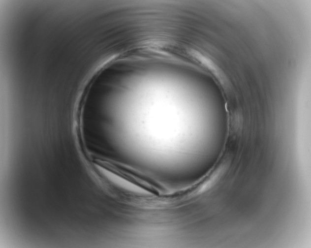 X0000088461042200706051321