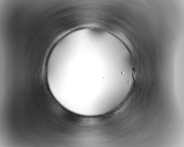 X0000088461044200706051321