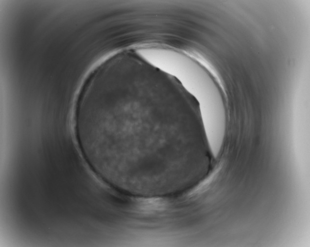 X0000088461045200706051321