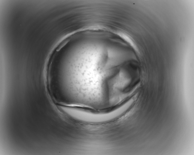 X0000088461046200706051321