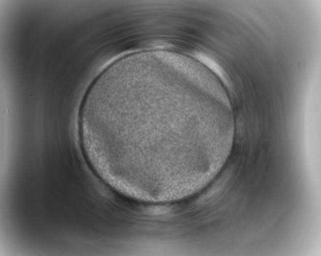 X0000088461047200706051321