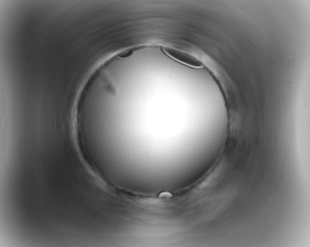 X0000088461048200706051321