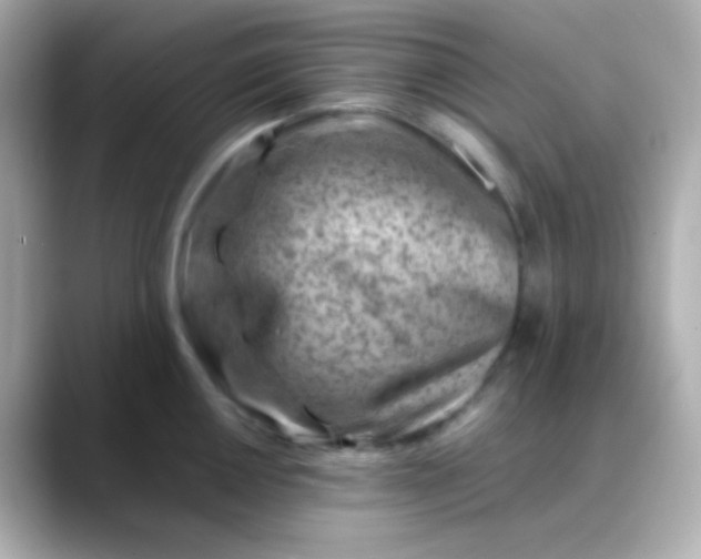 X0000088461050200706051321