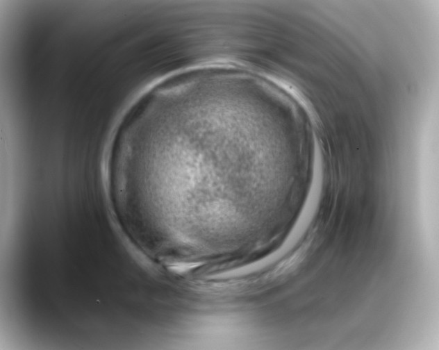 X0000088461054200706051321