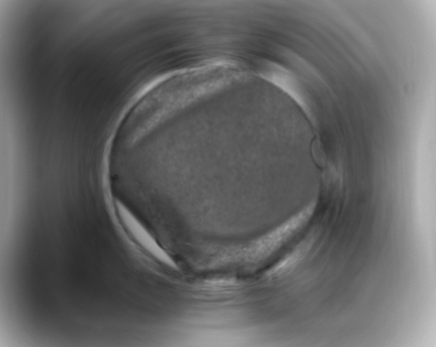 X0000088461055200706051321