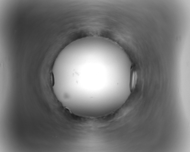 X0000088461057200706051320