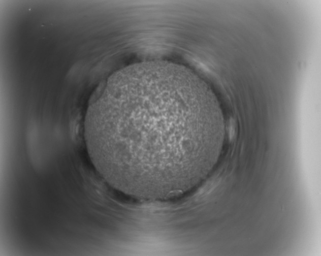 X0000088461059200706051320