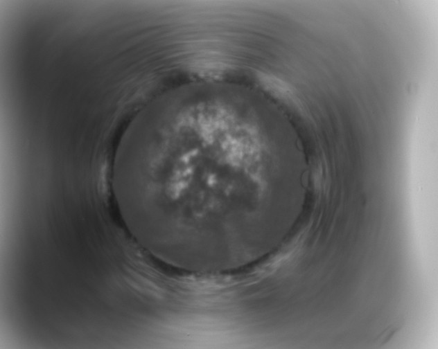 X0000088461060200706051320