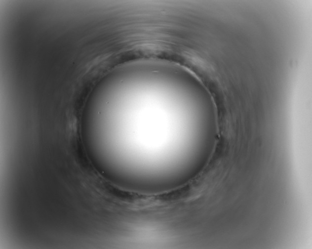 X0000088461061200706051320