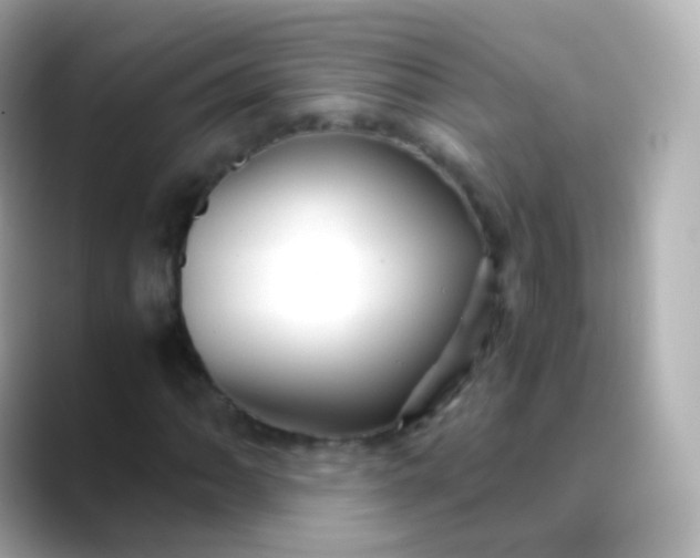 X0000088461062200706051320