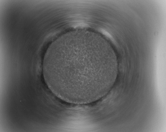 X0000088461063200706051320