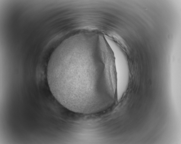 X0000088461064200706051320