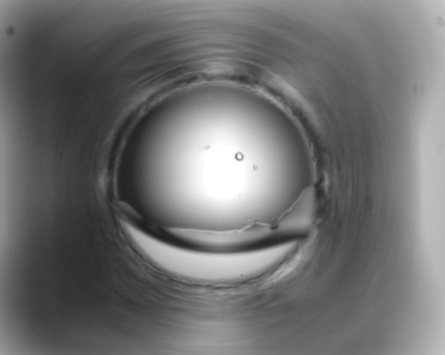 X0000088461065200706051320