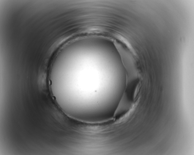 X0000088461066200706051320