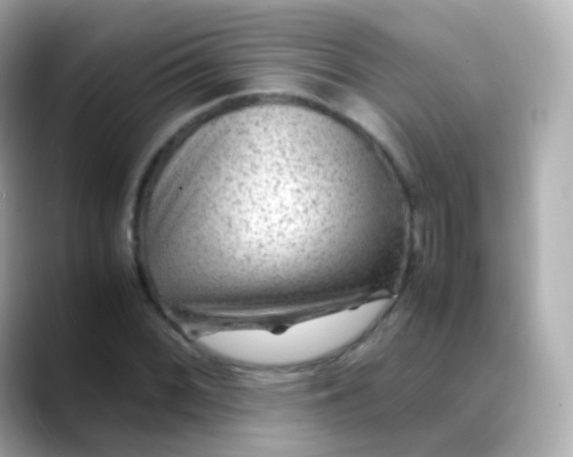 X0000088461068200706051320