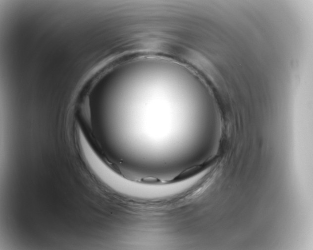 X0000088461069200706051320