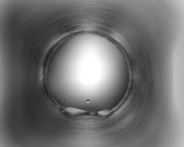 X0000088461070200706051320