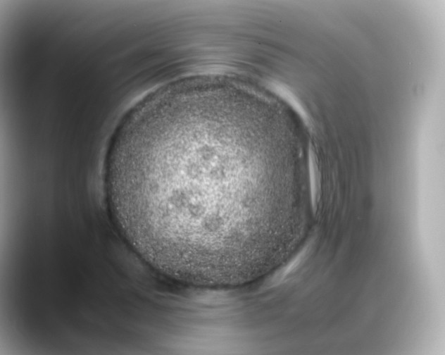 X0000088461071200706051320