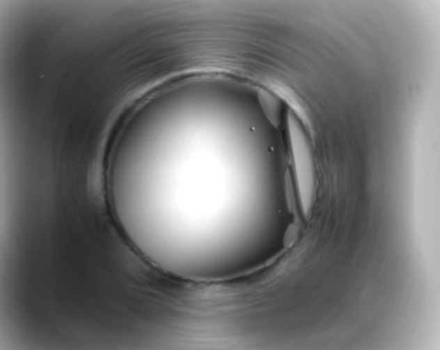 X0000088461072200706051320