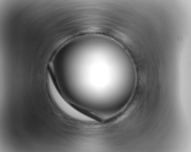 X0000088461073200706051320