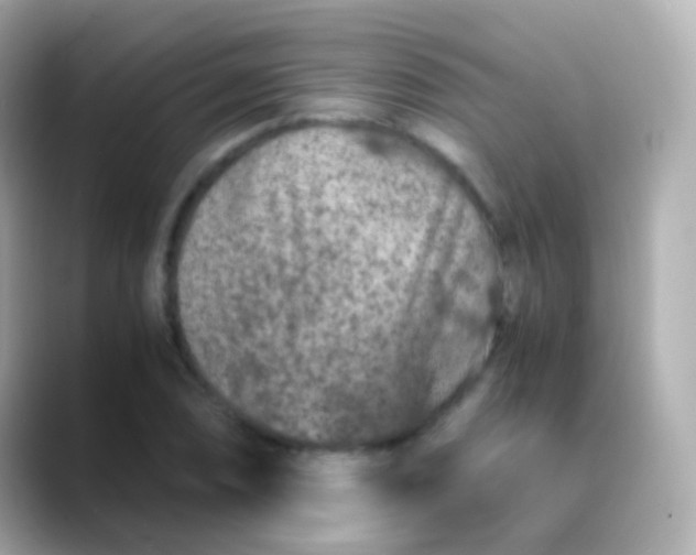 X0000088461074200706051320