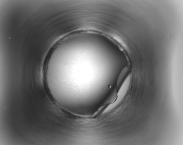 X0000088461076200706051320