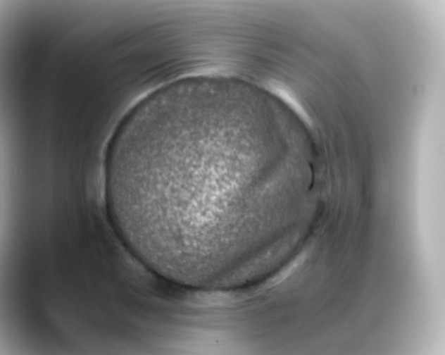 X0000088461079200706051320