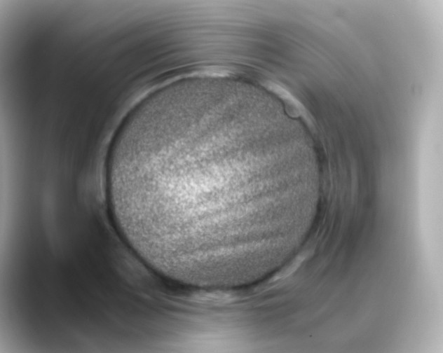 X0000088461083200706051320