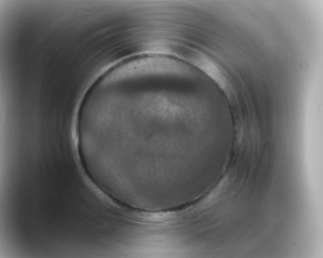 X0000088461084200706051320