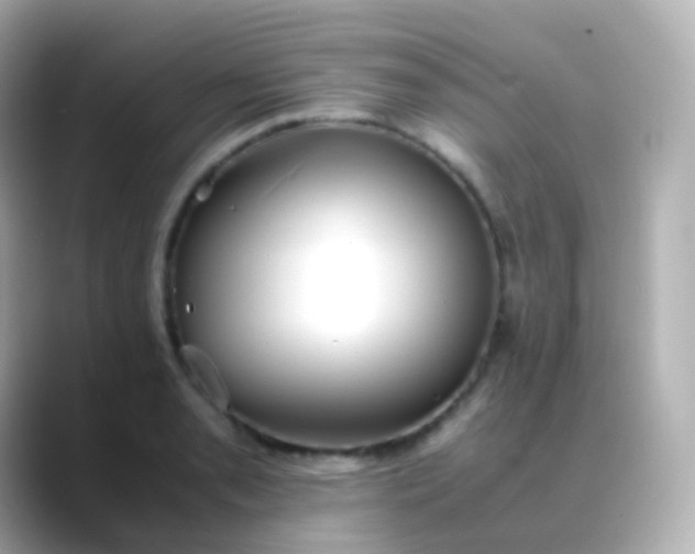 X0000088461085200706051320